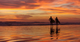 Couple silhouetted at sunset on a beach