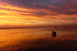 A boy plays on the sand during a spectacular, red sunset.