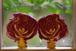 cabbage slices propped in a in window, with a form that loos vaguely like dancing figures